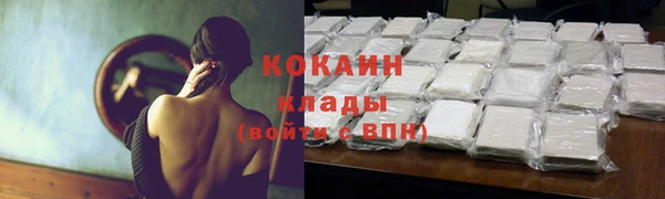 прущая мука Богородск