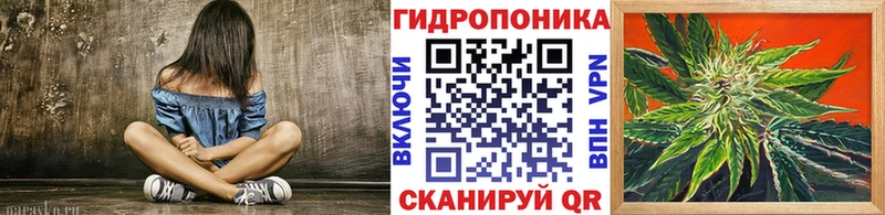 Шишки марихуана гибрид  OMG сайт  Ивангород 